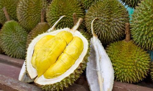 榴莲加工爆料怎么做视频,视频带你探秘美味背后的制作过程  第3张